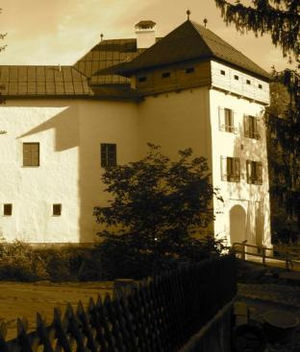 Burg Wildshut